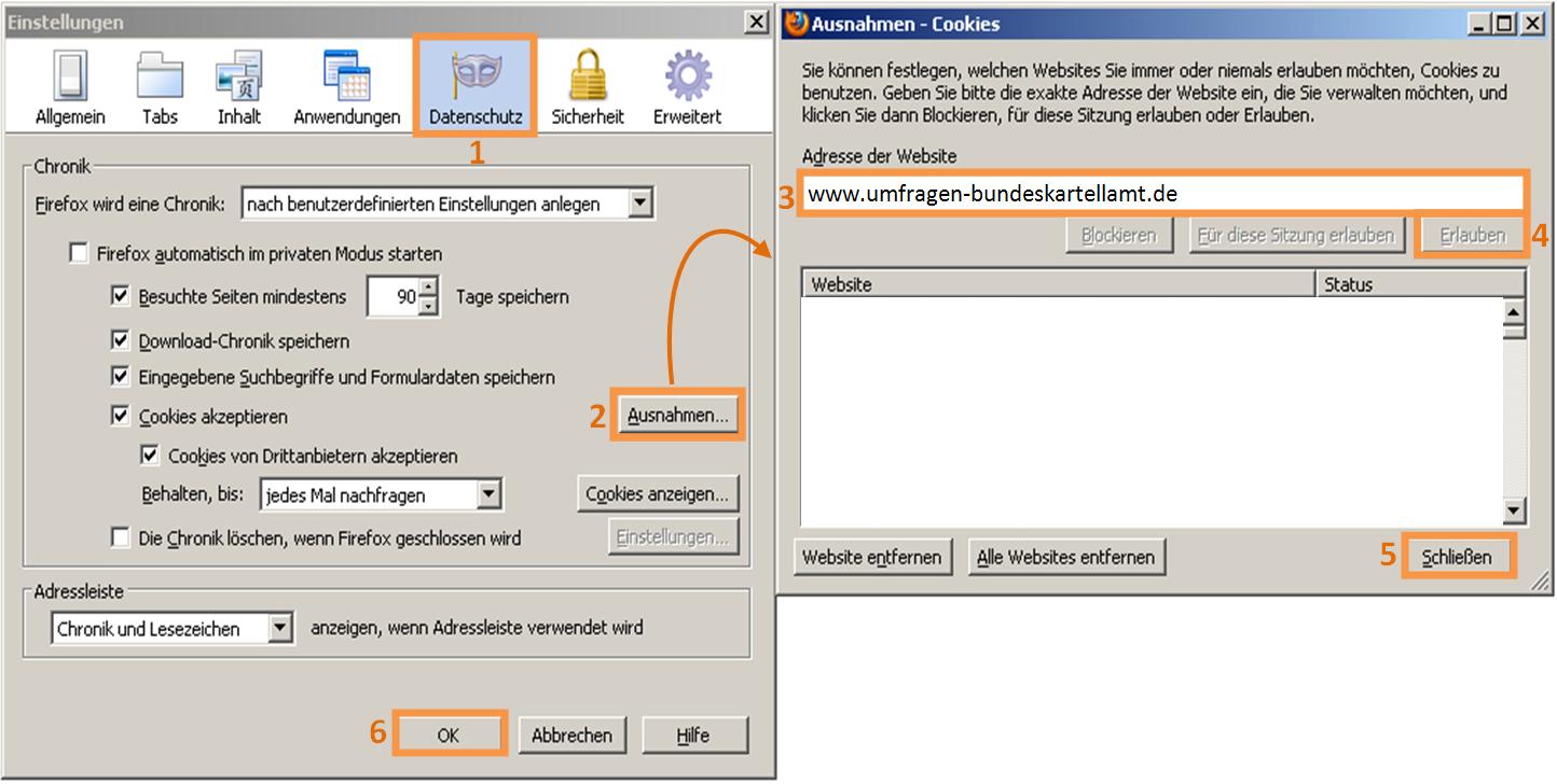 Cookie Einstellungen Mozilla Firefox